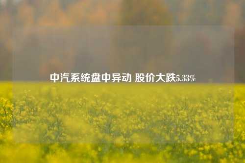 中汽系统盘中异动 股价大跌5.33%