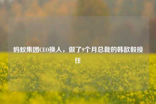 蚂蚁集团CEO换人，做了9个月总裁的韩歆毅接任