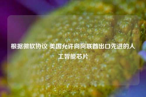 根据微软协议 美国允许向阿联酋出口先进的人工智能芯片