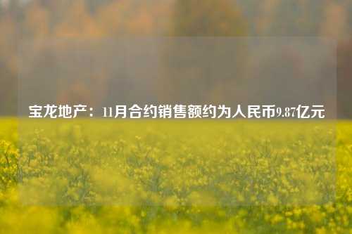 宝龙地产：11月合约销售额约为人民币9.87亿元