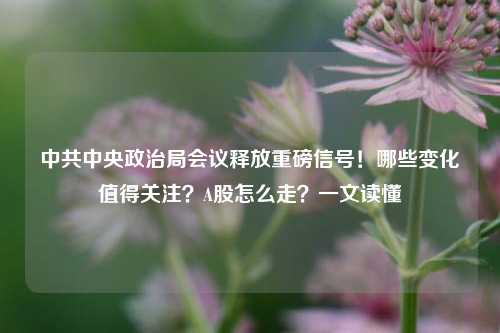 中共中央政治局会议释放重磅信号！哪些变化值得关注？A股怎么走？一文读懂