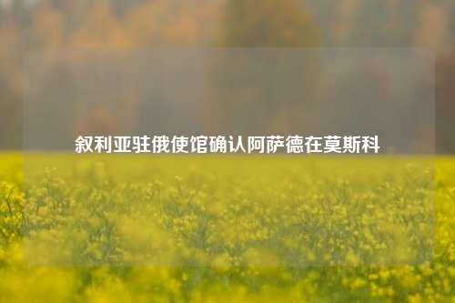 叙利亚驻俄使馆确认阿萨德在莫斯科