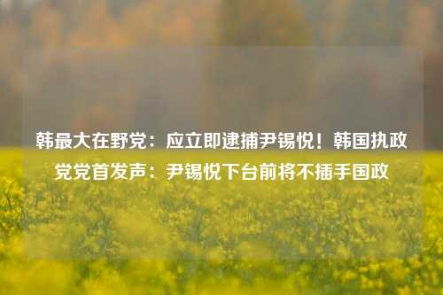 韩最大在野党：应立即逮捕尹锡悦！韩国执政党党首发声：尹锡悦下台前将不插手国政