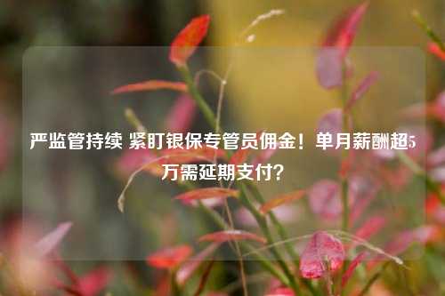 严监管持续 紧盯银保专管员佣金！单月薪酬超5万需延期支付？