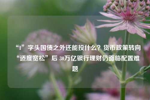 “1”字头国债之外还能投什么？货币政策转向“适度宽松”后 30万亿银行理财仍面临配置难题