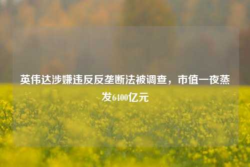 英伟达涉嫌违反反垄断法被调查，市值一夜蒸发6400亿元