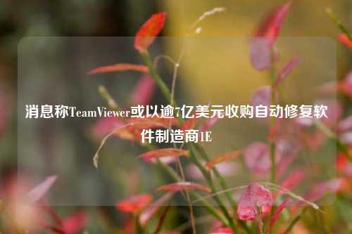 消息称TeamViewer或以逾7亿美元收购自动修复软件制造商1E