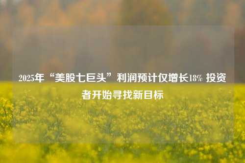 2025年“美股七巨头”利润预计仅增长18% 投资者开始寻找新目标