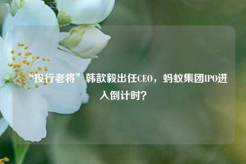 “投行老将”韩歆毅出任CEO，蚂蚁集团IPO进入倒计时？