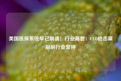 美国医保系统早已崩溃！行业高管：CEO枪击案敲响行业警钟