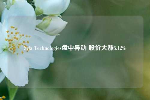 Syla Technologies盘中异动 股价大涨5.12%