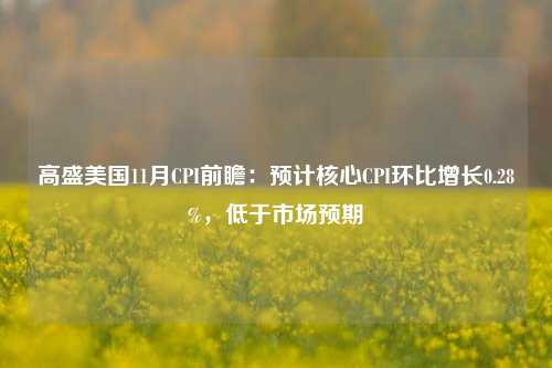 高盛美国11月CPI前瞻：预计核心CPI环比增长0.28%，低于市场预期