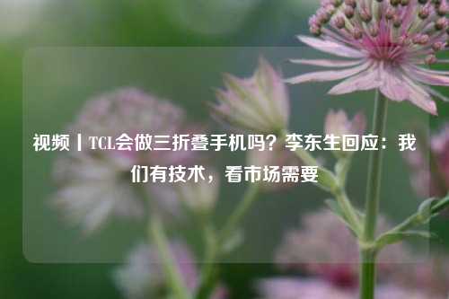 视频丨TCL会做三折叠手机吗？李东生回应：我们有技术，看市场需要