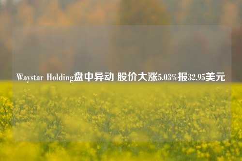 Waystar Holding盘中异动 股价大涨5.03%报32.95美元