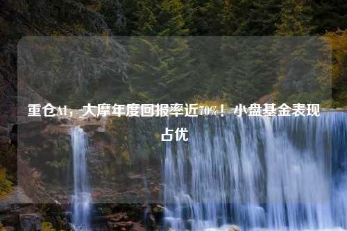 重仓AI，大摩年度回报率近70%！小盘基金表现占优