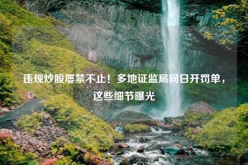 违规炒股屡禁不止！多地证监局同日开罚单，这些细节曝光