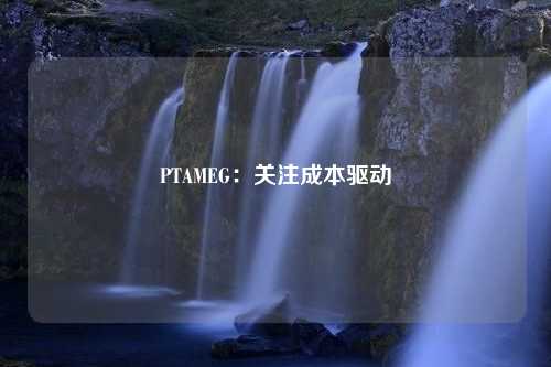 PTAMEG：关注成本驱动