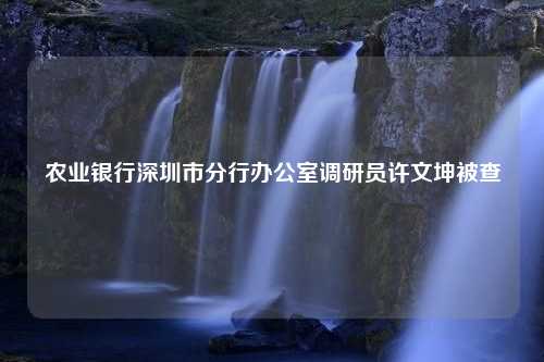 农业银行深圳市分行办公室调研员许文坤被查