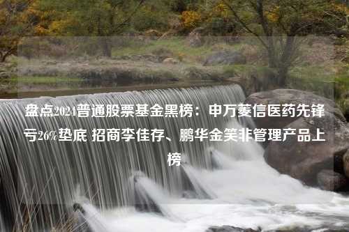 盘点2024普通股票基金黑榜：申万菱信医药先锋亏26%垫底 招商李佳存、鹏华金笑非管理产品上榜