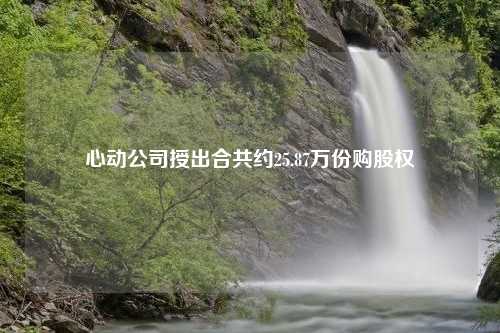 心动公司授出合共约25.87万份购股权