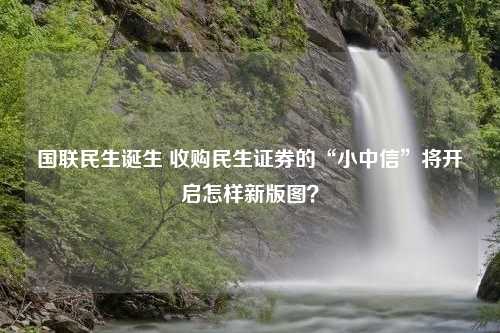 国联民生诞生 收购民生证券的“小中信”将开启怎样新版图？