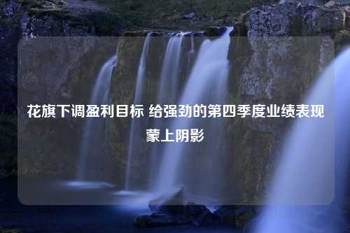 花旗下调盈利目标 给强劲的第四季度业绩表现蒙上阴影