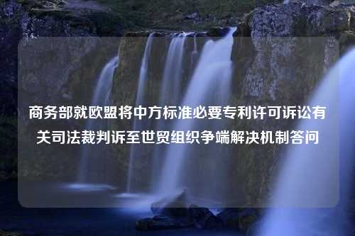 商务部就欧盟将中方标准必要专利许可诉讼有关司法裁判诉至世贸组织争端解决机制答问