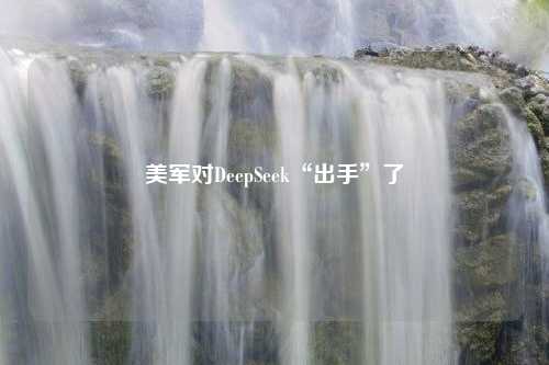 美军对DeepSeek“出手”了