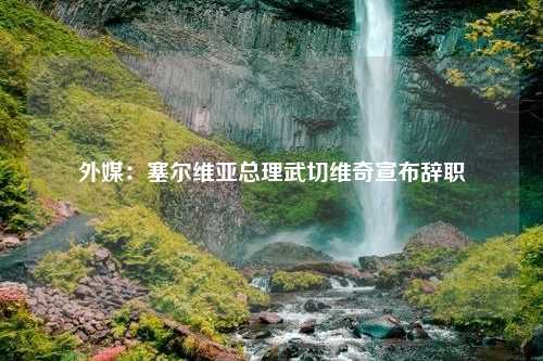 外媒：塞尔维亚总理武切维奇宣布辞职