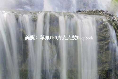 美媒：苹果CEO库克点赞DeepSeek