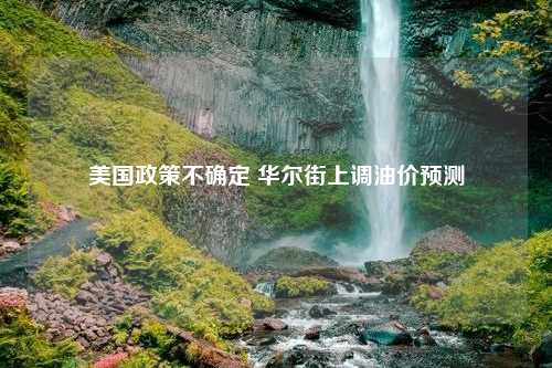 美国政策不确定 华尔街上调油价预测