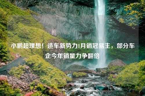 小鹏超理想！造车新势力1月销冠易主，部分车企今年销量力争翻倍