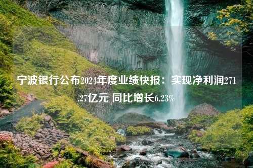 宁波银行公布2024年度业绩快报：实现净利润271.27亿元 同比增长6.23%