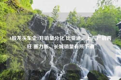 A股龙头车企1月销量分化 比亚迪、上汽产销两旺 赛力斯、长城销量有所下滑