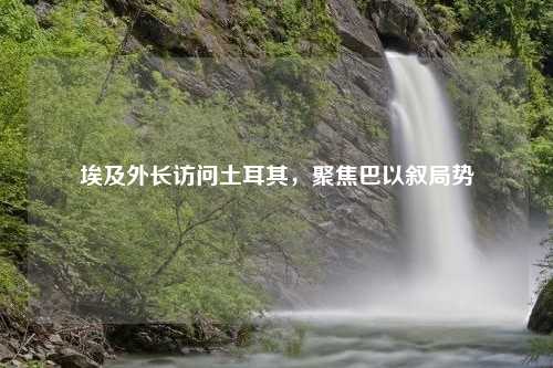 埃及外长访问土耳其，聚焦巴以叙局势