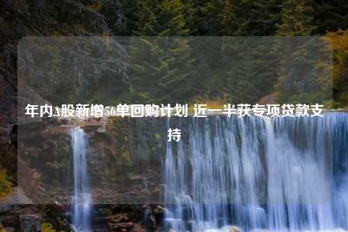 年内A股新增56单回购计划 近一半获专项贷款支持