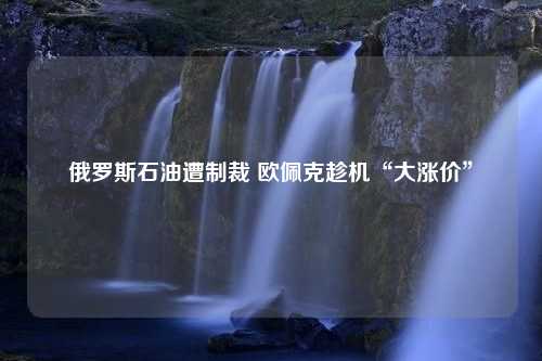 俄罗斯石油遭制裁 欧佩克趁机“大涨价”