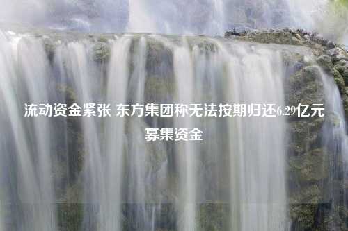 流动资金紧张 东方集团称无法按期归还6.29亿元募集资金