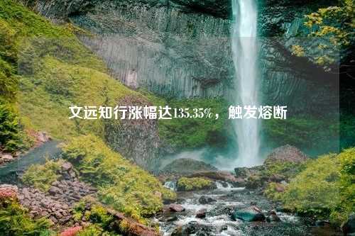 文远知行涨幅达135.35%，触发熔断